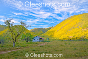 House & Golden Hills, Carrizo Plains, California