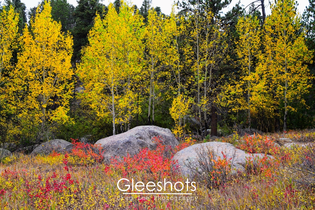 A Boulder Fall, Rocky Mountain National Park Fall Colors, Colorado