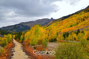 Colorado Fall Colors, Red Mountain Creek, Million Dollar Highway
