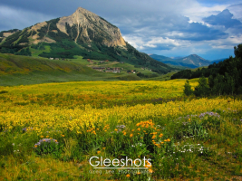 Yellow Flowers and Mt Crested Butte, Colorado