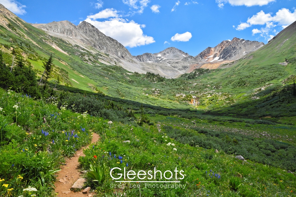 Wildflowers along Rustlers Gulch Trail, Crested Butte, Colorado