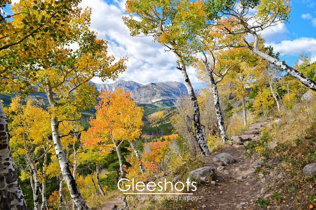 Rocky Mountain National Park, Aspen Fall Foliage, Hiking Trail, Colorado