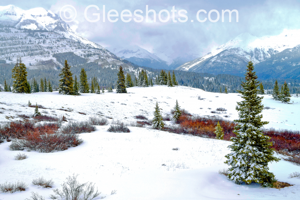 Molas Pass, Winter Scene, Snowstorm, Colorado