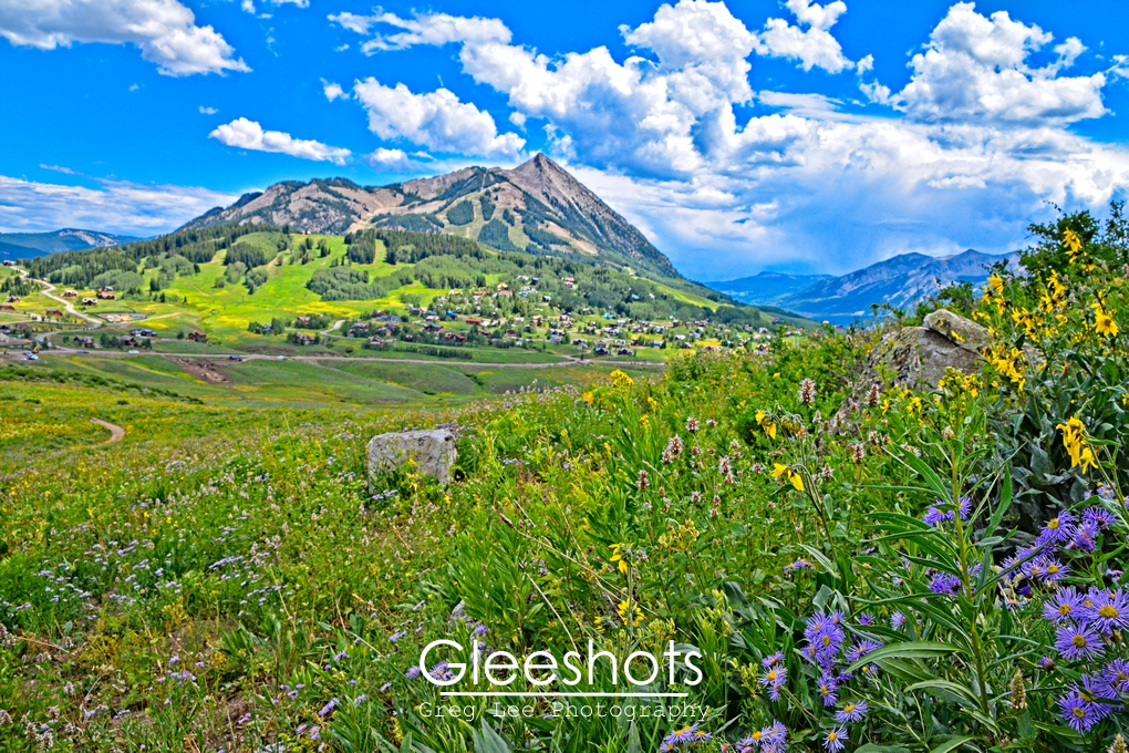 Wildflowers & Mt Crested Butte, Colorado