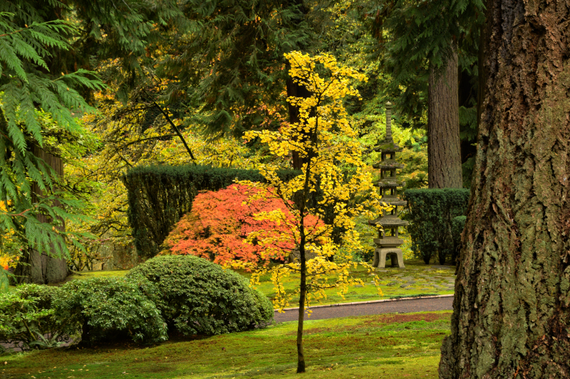 Portland Japanese Garden in Autumn, Oregon