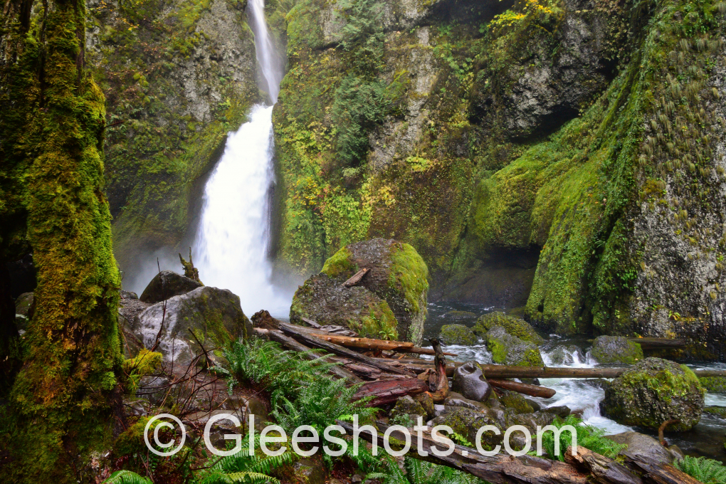 Wahclella Falls, Columbia River Gorge, Oregon
