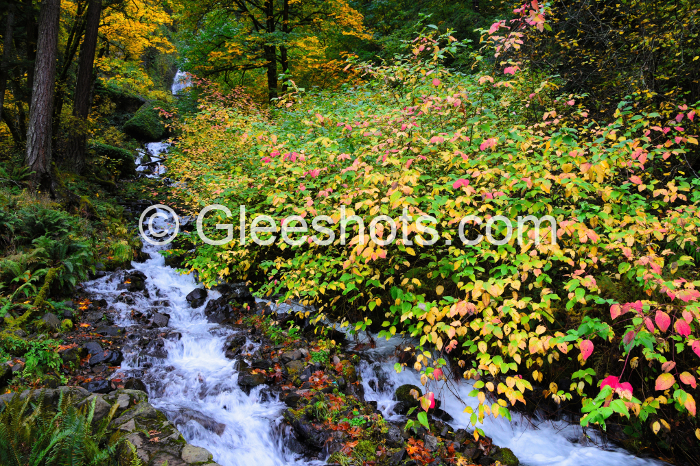 Wahkeena Falls, Columbia River Gorge Waterfalls, Oregon Fall Foliage
