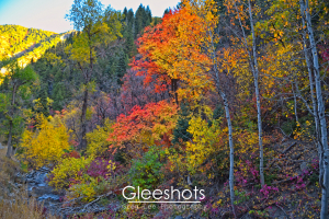 Alpine Loop Utah, Fall Foliage, Sundance Resort