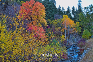 Fall Colors, Alpine Loop, Utah