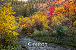 Fifth Water Hot Springs Creek, Fall Colors, Canyon, Utah