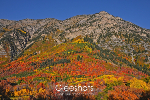 Cascade Mountain Utah Fall Colors, Provo