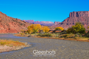 Fall Foliage along Colorado River with Mesas, Moab, Utah