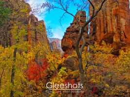 Zion, Fall Colors, Temple of Sinawava, Zion National Park, Utah