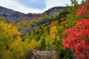 Fall Colors Trail to Mt Timpanogos, Utah