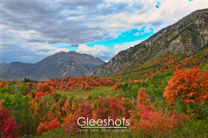 Timpanogos, Cascade Mountain, Fall Colors, Cascade Meadows, Provo, Utah