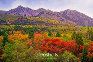 Snowbasin Utah Fall Colors, Ogden Fall Foliage