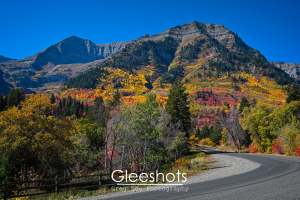 Timpanogos and Alpine Loop, Utah Fall Colors