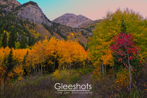 Mount Timpanogos, Hiking Trail , Utah Fall Colors, Red Aspen Tree, Utah