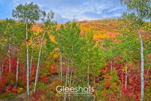 Fall Color Panorama, Wasatch Mountain State Park, Utah