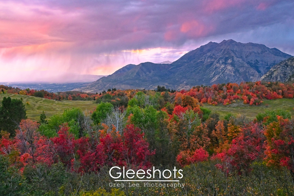 Cascade Meadows Utah Fall Colors, Timpanogos Autumn Sunset