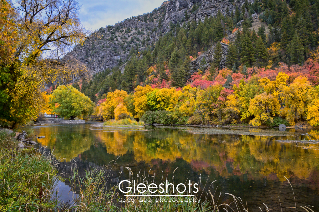 Logan River, Fall Foliage Reflection, Utah