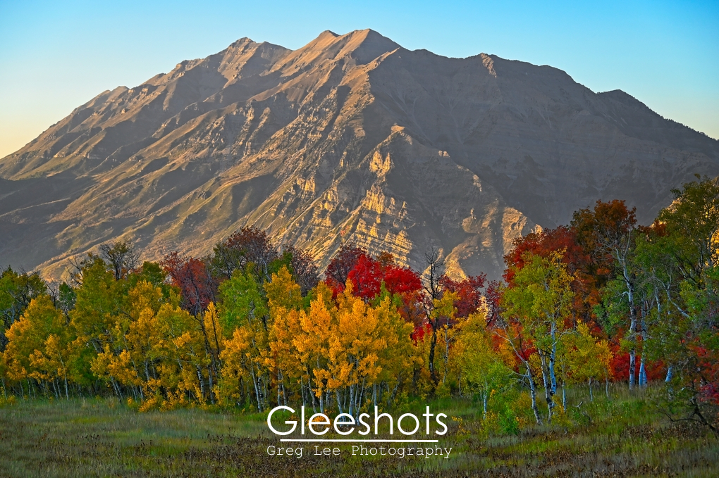 Mt Timpanogos Close-Up with Colorful Autumn Trees, Utah