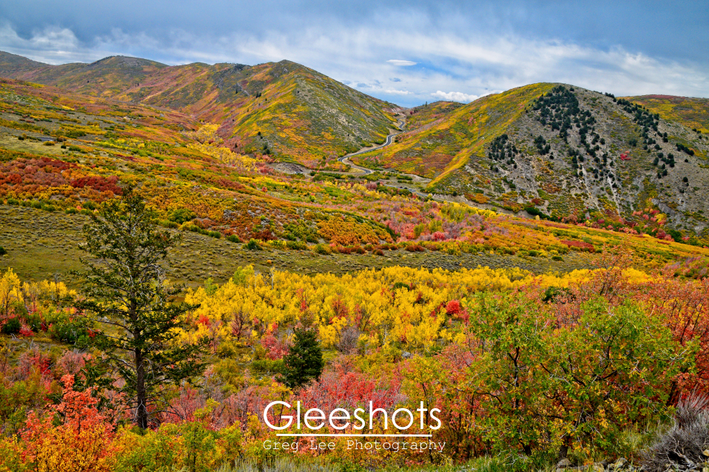 Wasatch Mountains Fall Foliage Overlook, Route 114, Utah