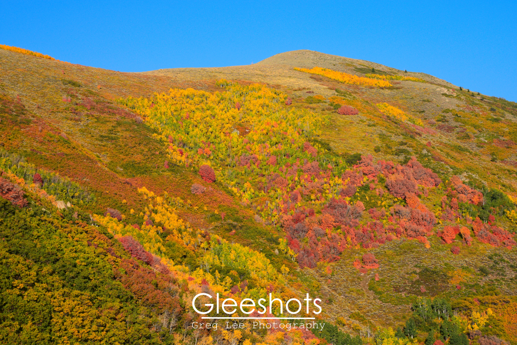 Wasatch Mountain State Park Fall Foliage, Utah
