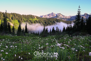 Rainier Wildflowers and Valley Fog with Tatoosh Mountains, View 3